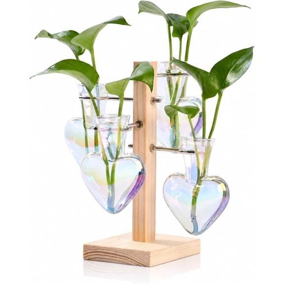 Terrarium Propagation Stations: Clear Vase with Wooden Stand | 4 Irised Glass, Heart Shaped, Table Decor, Birthday Gifts for Lovers Women Mom Wife