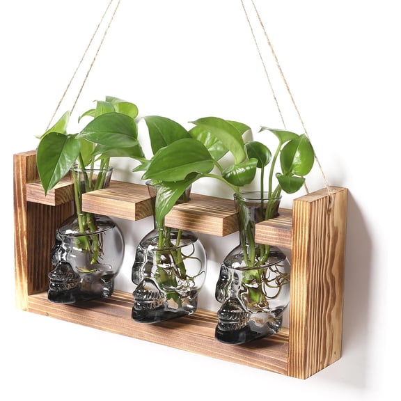 Terrarium Propagation Stations Hydroponics Halloween Skull Planter Vase Skulls Decor with Wooden Stand Gife for Father