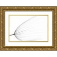thumbnail image 1 of Terravecchia, Rino 24x17 Gold Ornate Wood Framed with Double Matting Museum Art Print Titled - The Big Minimal, 1 of 4