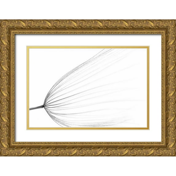 Terravecchia, Rino 24x17 Gold Ornate Wood Framed with Double Matting Museum Art Print Titled - The Big Minimal
