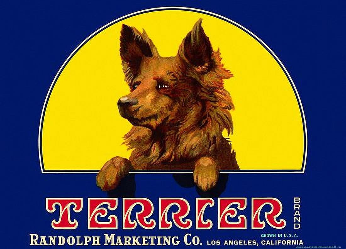 Terrier Dog Label Canvas Art - (24 x 36)