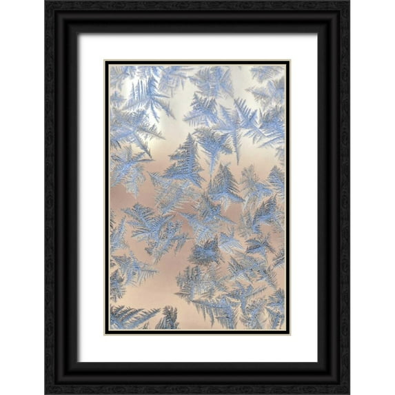 Terrill, Steve 11x14 Black Ornate Wood Framed with Double Matting Museum Art Print Titled - Oregon, Portland Ice crystals on window pane