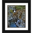 thumbnail image 1 of Terrill, Steve 12x14 Black Ornate Wood Framed with Double Matting Museum Art Print Titled - Oregon Stair Creek Falls along the Rogue River, 1 of 4
