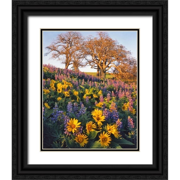 Terrill, Steve 12x14 Black Ornate Wood Framed with Double Matting Museum Art Print Titled - WA, Balsamroot, lupine, and oaks on hillside
