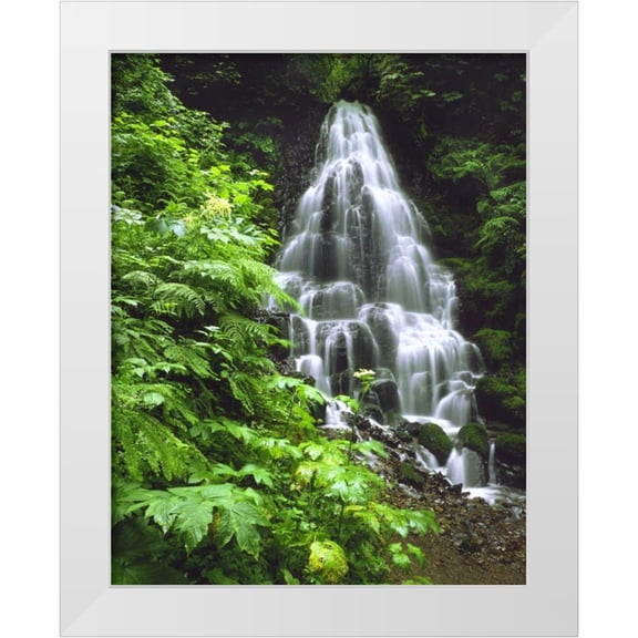 Terrill, Steve 12x14 White Modern Wood Framed Museum Art Print Titled - OR, Columbia Gorge, Fairy Falls cascading
