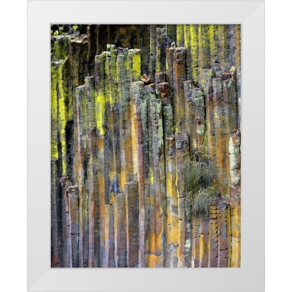 Terrill, Steve 12x14 White Modern Wood Framed Museum Art Print Titled - OR, Umpqua NF, Lichen-covered basalt formation