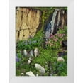 thumbnail image 1 of Terrill, Steve 12x14 White Modern Wood Framed Museum Art Print Titled - WA, Mount Rainier NP Lupine and monkey flower, 1 of 4