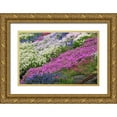 thumbnail image 1 of Terrill, Steve 14x11 Gold Ornate Wood Framed with Double Matting Museum Art Print Titled - OR, Portland Spring blooms of colorful flowers, 1 of 4