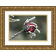 thumbnail image 1 of Terrill, Steve 14x11 Gold Ornate Wood Framed with Double Matting Museum Art Print Titled - USA, Oregon Roses draped with frost, 1 of 4