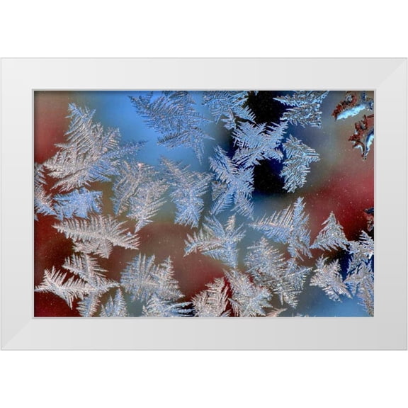 Terrill, Steve 14x11 White Modern Wood Framed Museum Art Print Titled - Oregon, Portland Ice crystals on window pane