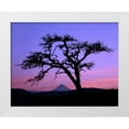thumbnail image 1 of Terrill, Steve 14x12 White Modern Wood Framed Museum Art Print Titled - OR, Columbia Gorge, Pine tree framing Mount Hood, 1 of 4