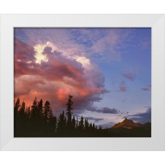 Terrill, Steve 14x12 White Modern Wood Framed Museum Art Print Titled - Oregon, Umpqua NF Storm approaching Mt Thielsen