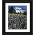 thumbnail image 1 of Terrill, Steve 15x18 Black Ornate Wood Framed with Double Matting Museum Art Print Titled - WA, Paradise Park Field of lupine and bistort, 1 of 4