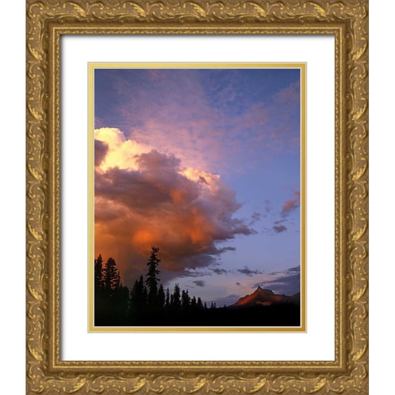 Terrill, Steve 15x18 Gold Ornate Wood Framed with Double Matting Museum Art Print Titled - OR, Umpqua NF Storm approaching Mt Thielsen