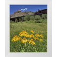 thumbnail image 1 of Terrill, Steve 15x18 White Modern Wood Framed Museum Art Print Titled - CO, Mill Creek Valley Sneezeweed blooming, 1 of 4