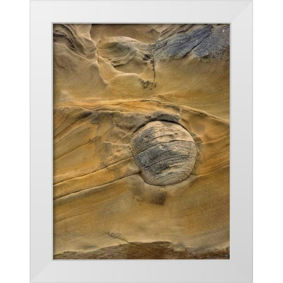 Terrill, Steve 15x18 White Modern Wood Framed Museum Art Print Titled - OR, Shore Acres SP Round rock in sandstone