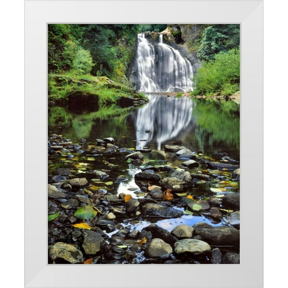 Terrill, Steve 15x18 White Modern Wood Framed Museum Art Print Titled - Oregon, Youngs River Falls Waterfall landscape