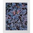 thumbnail image 1 of Terrill, Steve 15x18 White Modern Wood Framed Museum Art Print Titled - USA, Oregon Frost on wild blackberry bush, 1 of 4