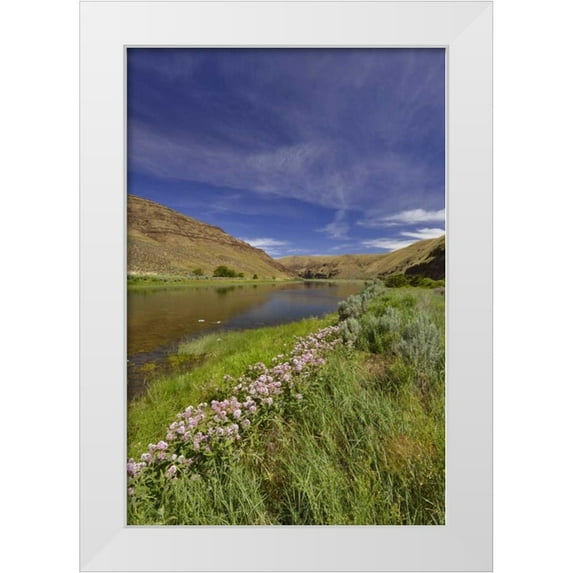 Terrill, Steve 17x24 White Modern Wood Framed Museum Art Print Titled - USA, Oregon Milkweed along the John Day River