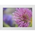 thumbnail image 1 of Terrill, Steve 18x13 White Modern Wood Framed Museum Art Print Titled - Oregon, Portland Close-up of pink clover bloom, 1 of 4