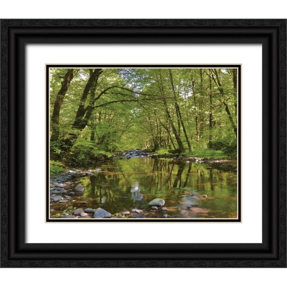 Terrill, Steve 18x15 Black Ornate Wood Framed with Double Matting Museum Art Print Titled - Oregon, Tillamook State Forest Wilson River