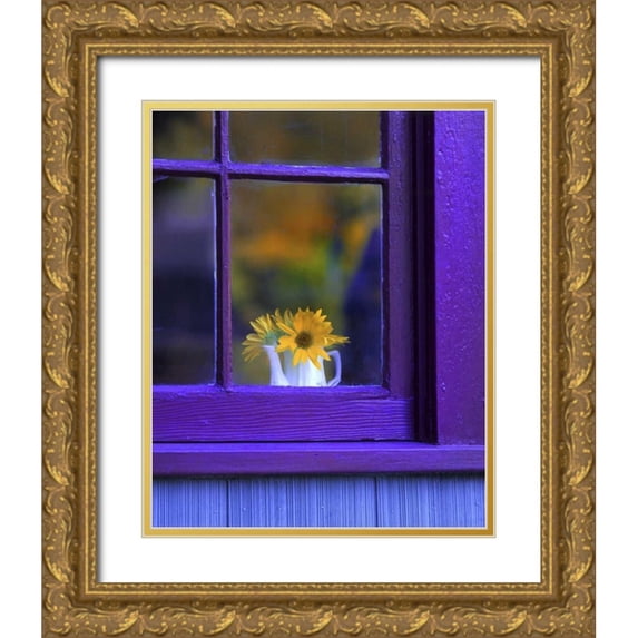 Terrill, Steve 20x24 Gold Ornate Wood Framed with Double Matting Museum Art Print Titled - OR, Brownsville Sunflowers in a window