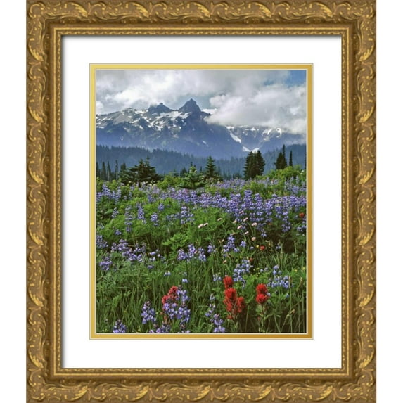 Terrill, Steve 20x24 Gold Ornate Wood Framed with Double Matting Museum Art Print Titled - WA, Mount Rainier NP Lupine and paintbrush