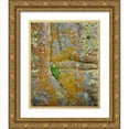thumbnail image 1 of Terrill, Steve 20x24 Gold Ornate Wood Framed with Double Matting Museum Art Print Titled - WY, Vedauwoo Park Poker heuchera plant, 1 of 4