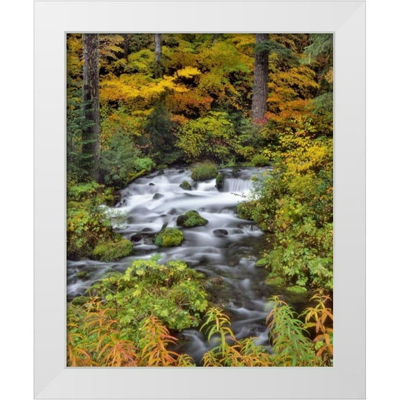 Terrill, Steve 20x24 White Modern Wood Framed Museum Art Print Titled - OR, Willamette NF Roaring River through Oregon