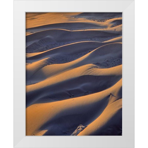 Terrill, Steve 20x24 White Modern Wood Framed Museum Art Print Titled - Oregon, Cape Sebastian Close-up of sand dunes