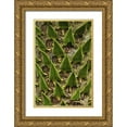 thumbnail image 1 of Terrill, Steve 23x32 Gold Ornate Wood Framed with Double Matting Museum Art Print Titled - Oregon, Portland Trunk of monkey puzzle tree, 1 of 4