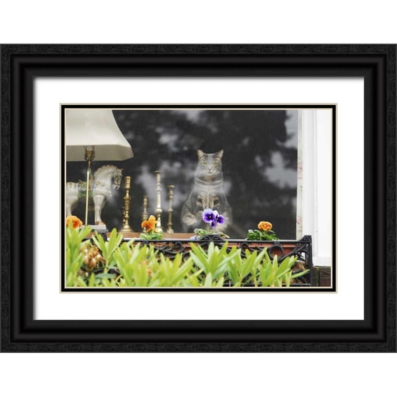 Terrill, Steve 24x17 Black Ornate Wood Framed with Double Matting Museum Art Print Titled - Oregon, Portland Cat looking out window of home