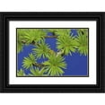 thumbnail image 1 of Terrill, Steve 24x17 Black Ornate Wood Framed with Double Matting Museum Art Print Titled - Oregon, Portland Young tamarack tree needles, 1 of 4