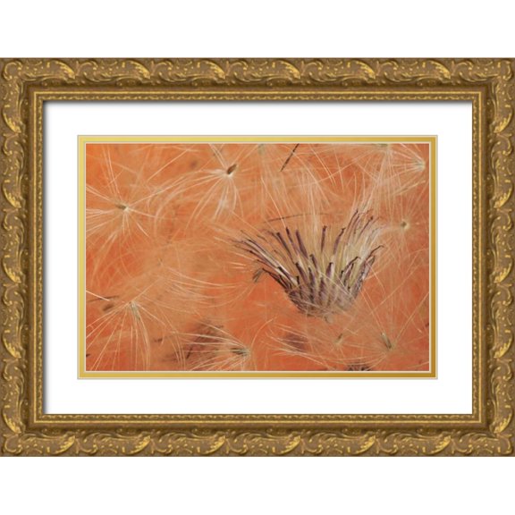 Terrill, Steve 24x17 Gold Ornate Wood Framed with Double Matting Museum Art Print Titled - Oregon, Portland Close-up of salsify seed head