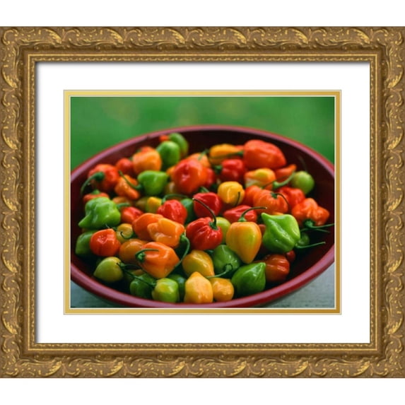 Terrill, Steve 24x20 Gold Ornate Wood Framed with Double Matting Museum Art Print Titled - OR, Willamette Valley Fresh habanero peppers