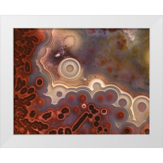 Terrill, Steve 24x20 White Modern Wood Framed Museum Art Print Titled - OR, Pattern in Mexican crazy lace agate