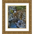 thumbnail image 1 of Terrill, Steve 26x31 Gold Ornate Wood Framed with Double Matting Museum Art Print Titled - Oregon Stair Creek Falls along the Rogue River, 1 of 4