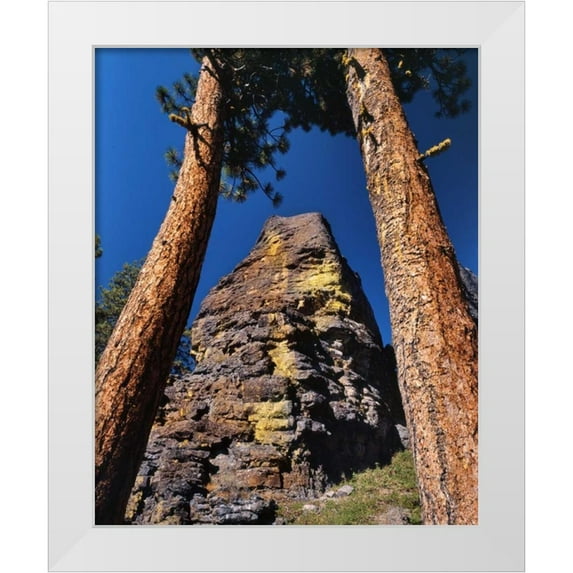 Terrill, Steve 26x31 White Modern Wood Framed Museum Art Print Titled - OR, Gearhart Mountain Trees frame rock formation