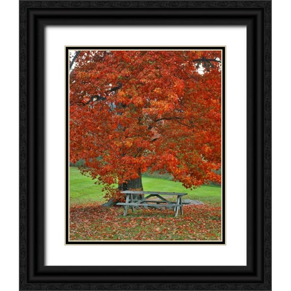 Terrill, Steve 26x32 Black Ornate Wood Framed with Double Matting Museum Art Print Titled - New York, West Park Bench under maple in autumn