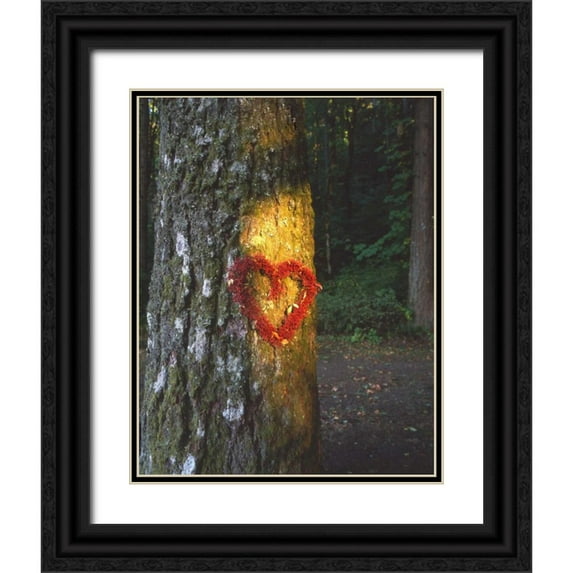 Terrill, Steve 26x32 Black Ornate Wood Framed with Double Matting Museum Art Print Titled - OR, Mt Hood NF, Heart wreath on Douglas-fir