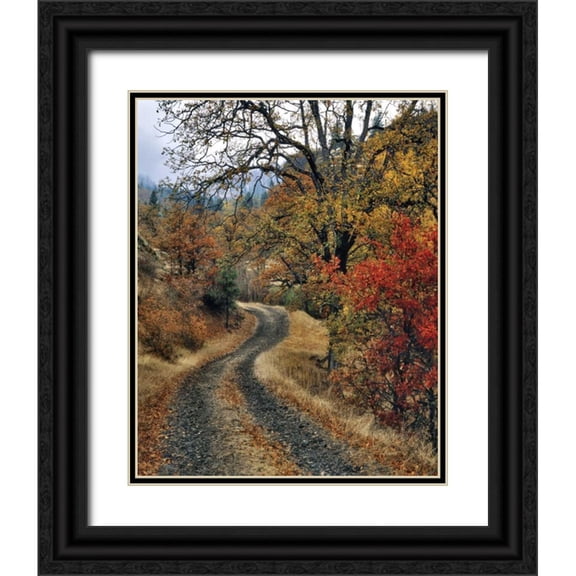 Terrill, Steve 26x32 Black Ornate Wood Framed with Double Matting Museum Art Print Titled - WA, Columbia Gorge NSA Road and autumn oaks