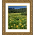 thumbnail image 1 of Terrill, Steve 26x32 Gold Ornate Wood Framed with Double Matting Museum Art Print Titled - CO, West Elks Wilderness Sneezeweed blooming, 1 of 4