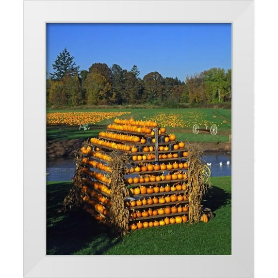 Terrill, Steve 26x32 White Modern Wood Framed Museum Art Print Titled - OR, Willamette Valley House made of pumpkins