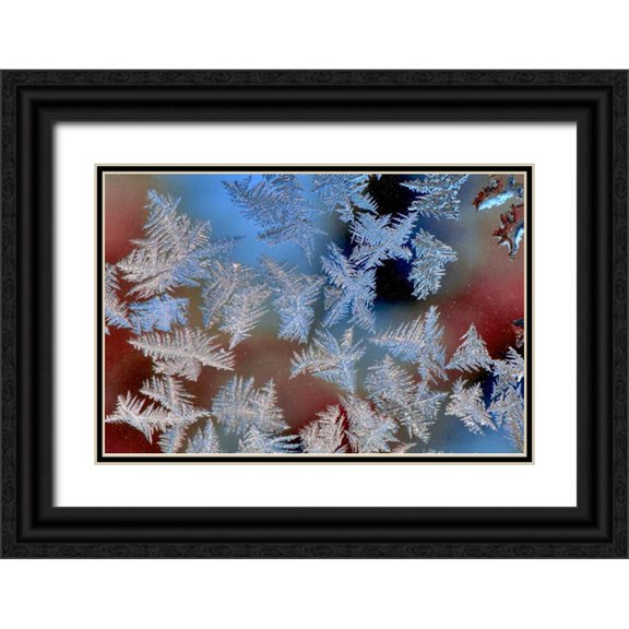 Terrill, Steve 32x23 Black Ornate Wood Framed with Double Matting Museum Art Print Titled - Oregon, Portland Ice crystals on window pane