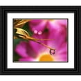 thumbnail image 1 of Terrill, Steve 32x26 Black Ornate Wood Framed with Double Matting Museum Art Print Titled - OR, Cosmos flower reflecting in dewdrop, 1 of 4