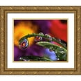 thumbnail image 1 of Terrill, Steve 32x26 Gold Ornate Wood Framed with Double Matting Museum Art Print Titled - OR, Abstract of purple chrysanthemum, 1 of 4