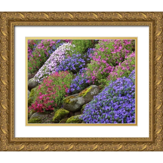 Terrill, Steve 32x26 Gold Ornate Wood Framed with Double Matting Museum Art Print Titled - OR, Portland, Slope of multicolored flower