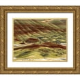 thumbnail image 1 of Terrill, Steve 32x26 Gold Ornate Wood Framed with Double Matting Museum Art Print Titled - OR, Volcanic ash hills of the Painted Hills Unit, 1 of 4