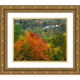 thumbnail image 1 of Terrill, Steve 32x26 Gold Ornate Wood Framed with Double Matting Museum Art Print Titled - Vermont, St Johnsbury Hillside Trees and homes, 1 of 4