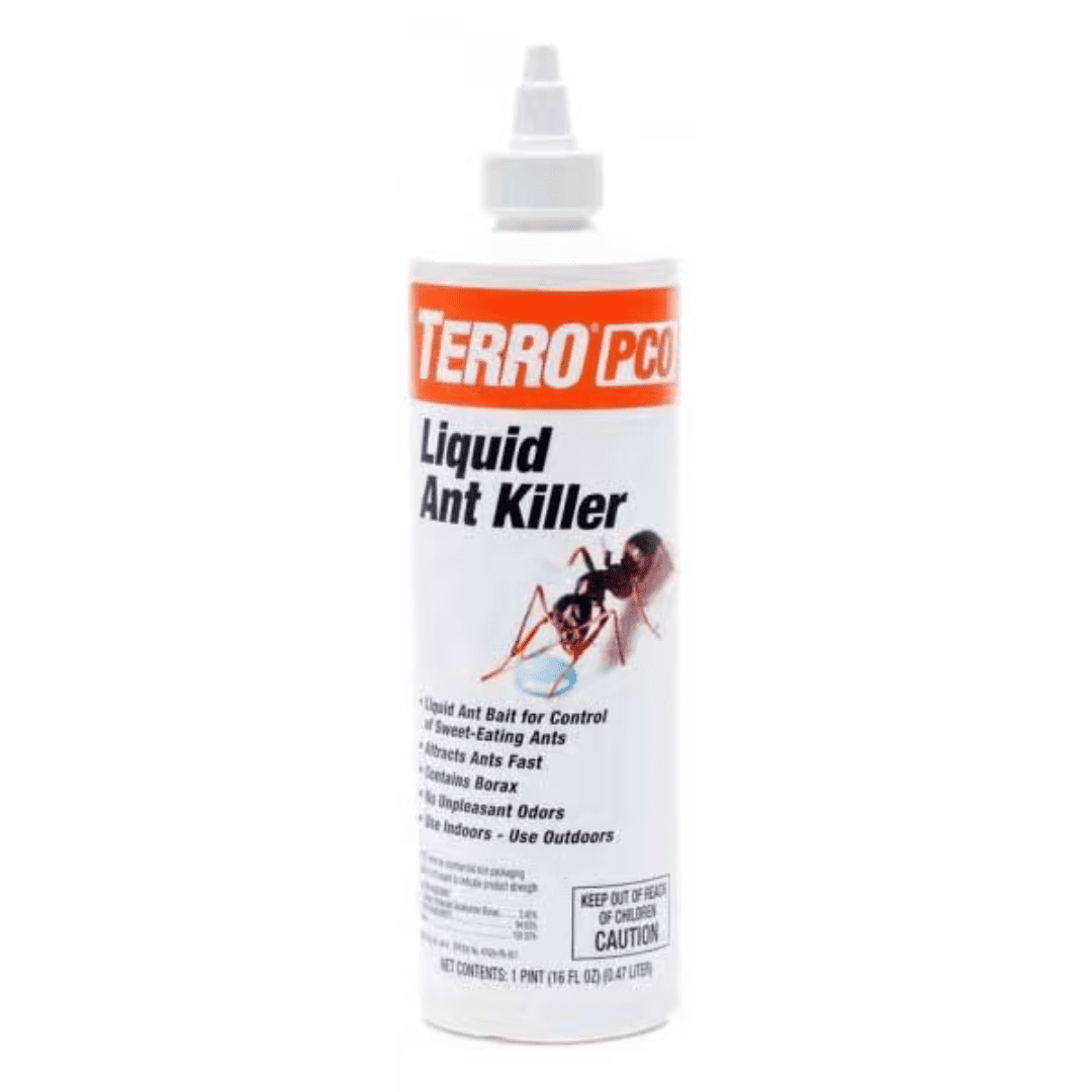 TERRO PCO Liquid Ant Bait Indoor Cockroaches Singapore | Ubuy